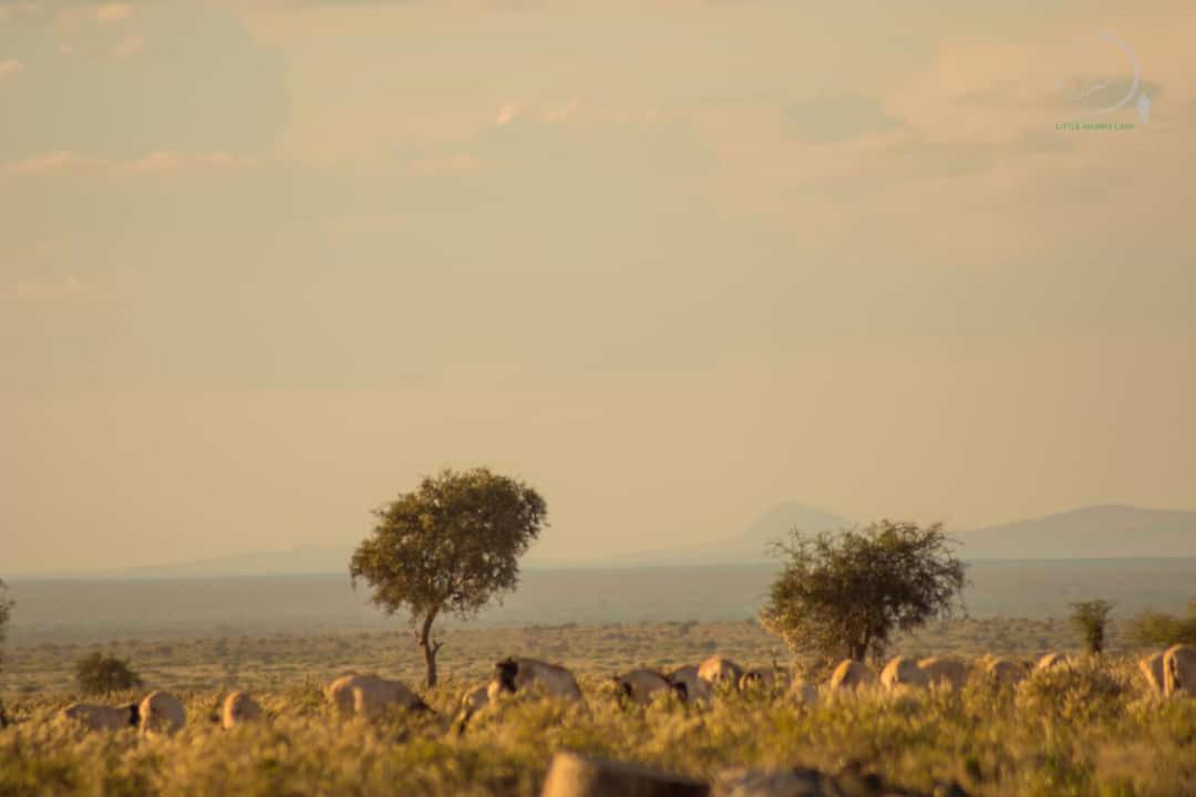 Amanya 3-Bedroom Hut Amboseli Exteriér fotografie